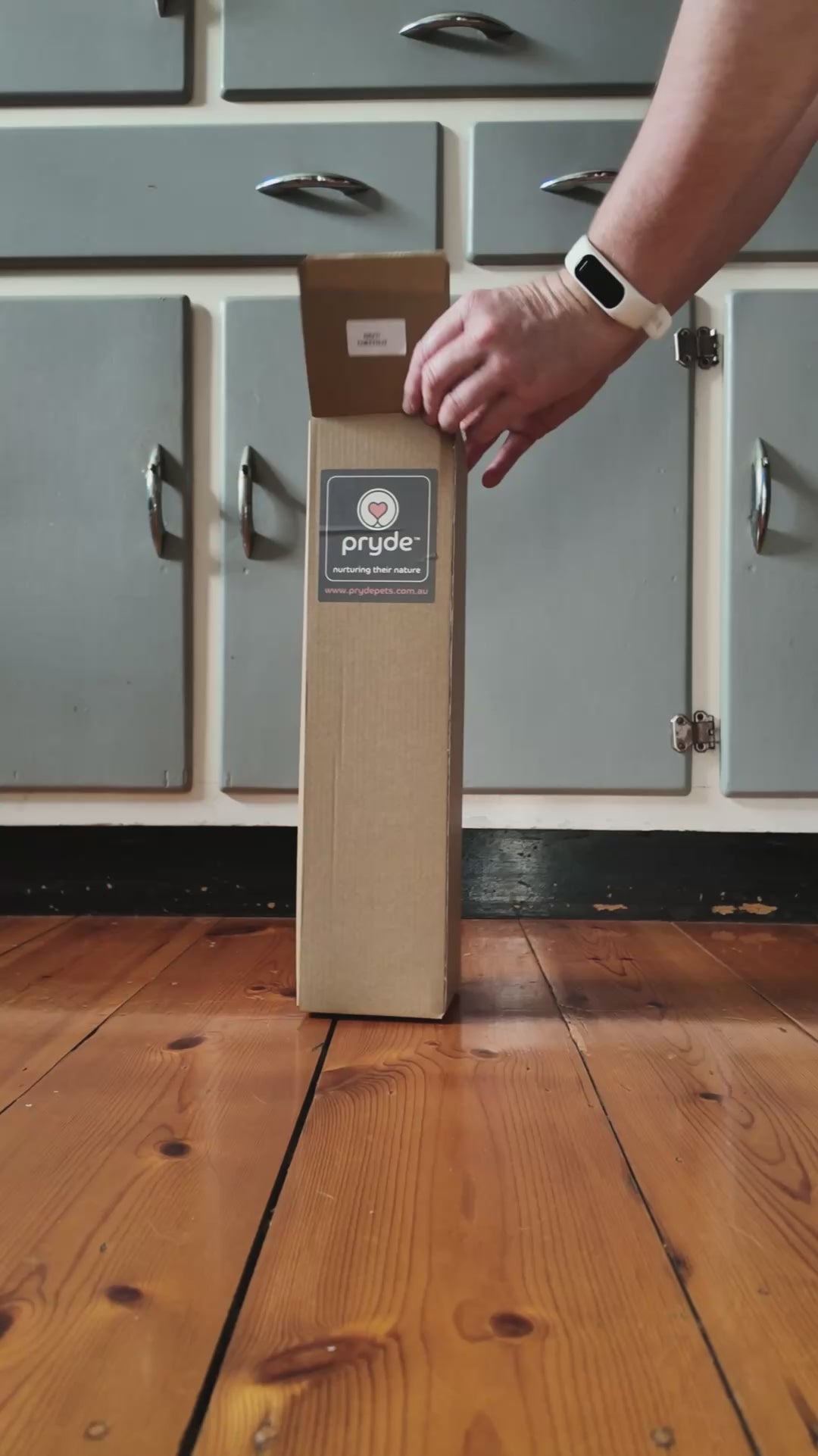 Ceramic Dining Bowl - Elevated