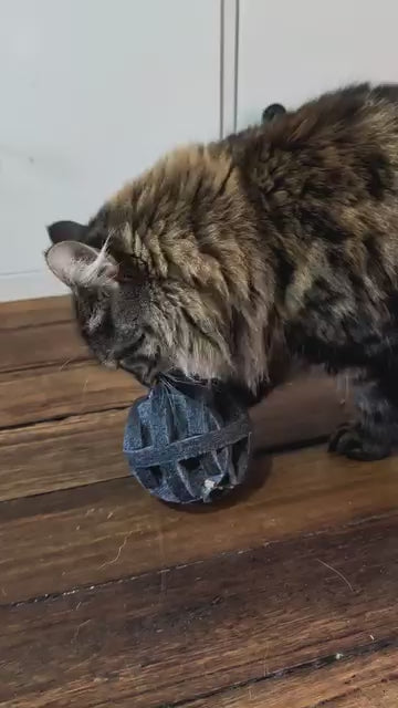 Pounce Orb - Treat &amp; Sensory Enrichment Ball