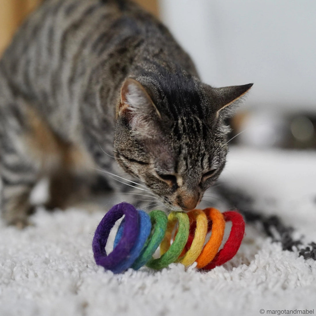 Felt Rainbow Cat Spring Toy