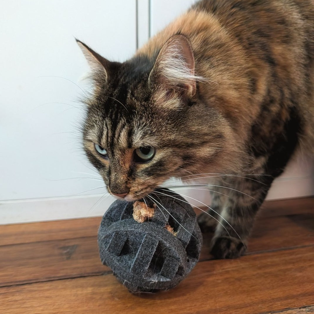 Pounce Orb - Treat &amp; Sensory Enrichment Ball