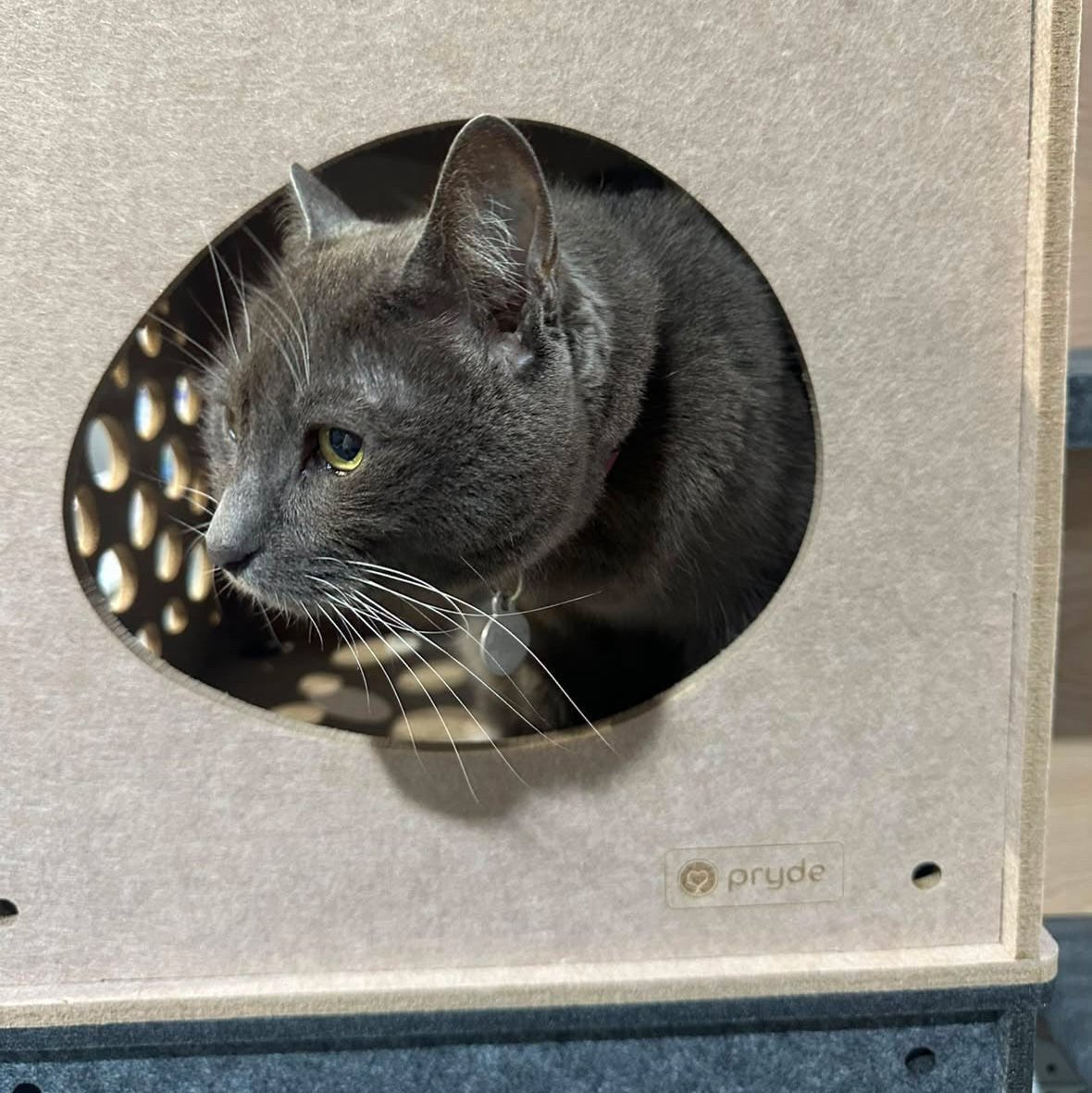 Modular Cat Cube (Oatmeal) - Pryde Pets