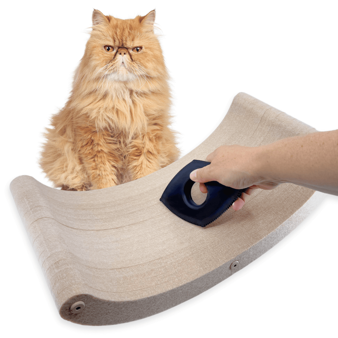 The Fur - nomenal Fur Remover - Pryde Pets