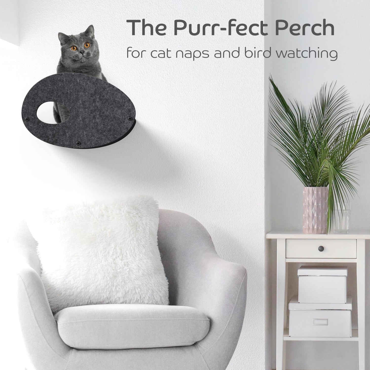 Curved Charcoal Cat Climber with Facade - Pryde Pets | prydepets.com.au