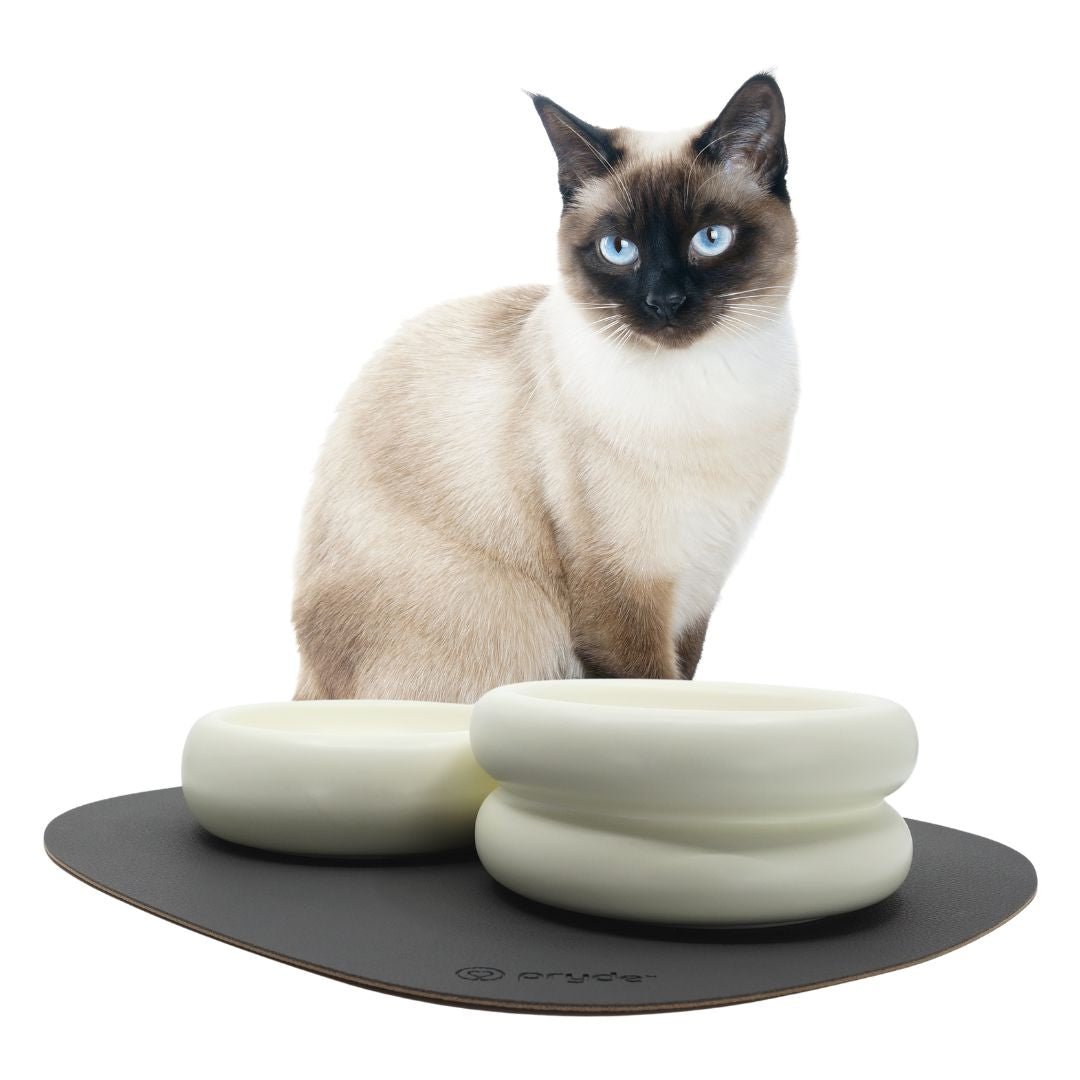 Complete Dining Set with Reversible Charcoal &amp; Oatmeal Dining Mat - Pryde Pets