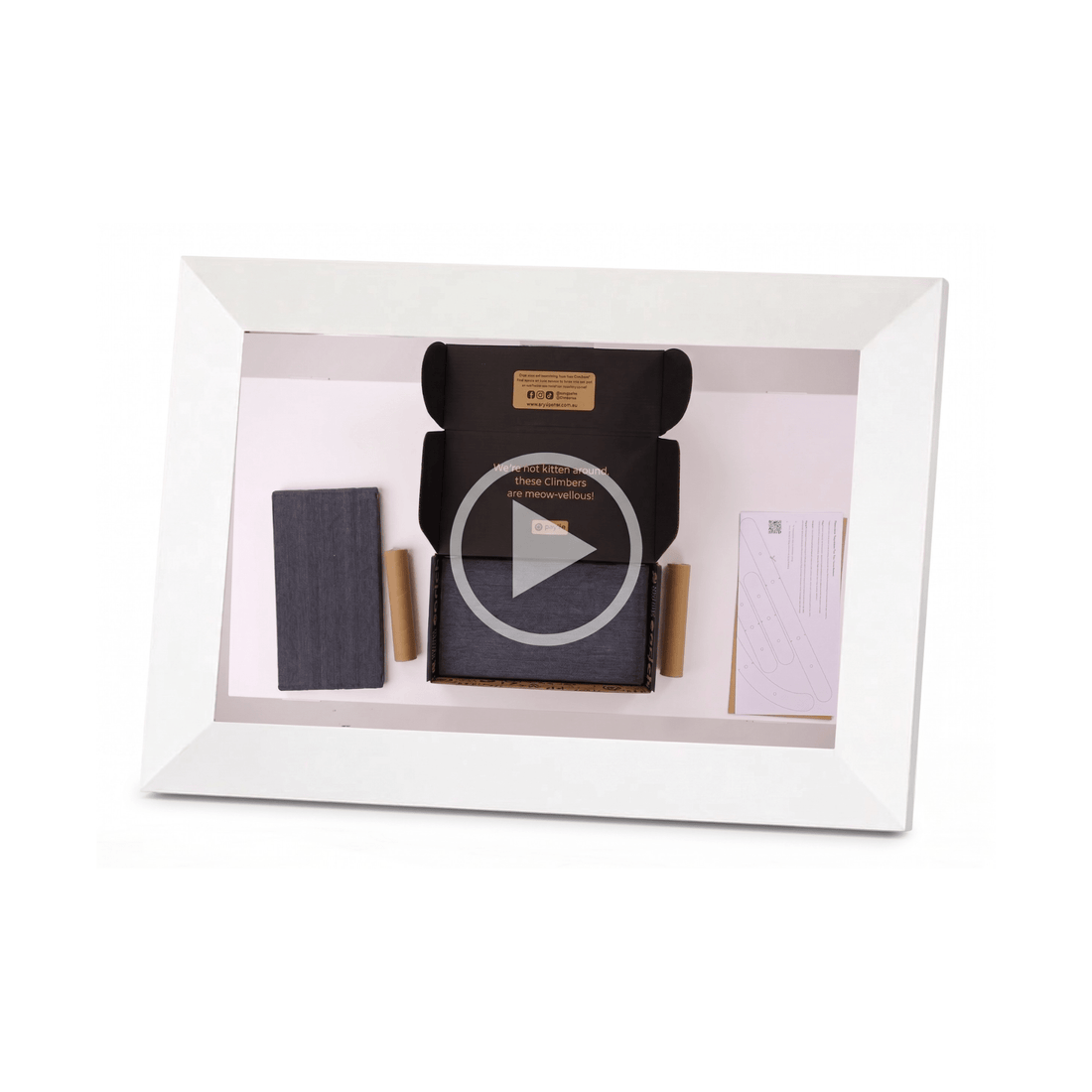 Digital Display (pre-loaded with Retail video) - Pryde Pets
