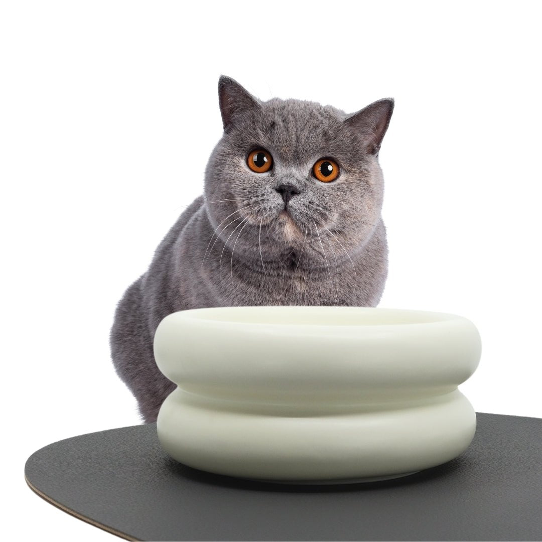 Ceramic Dining Bowl - Elevated - Pryde Pets