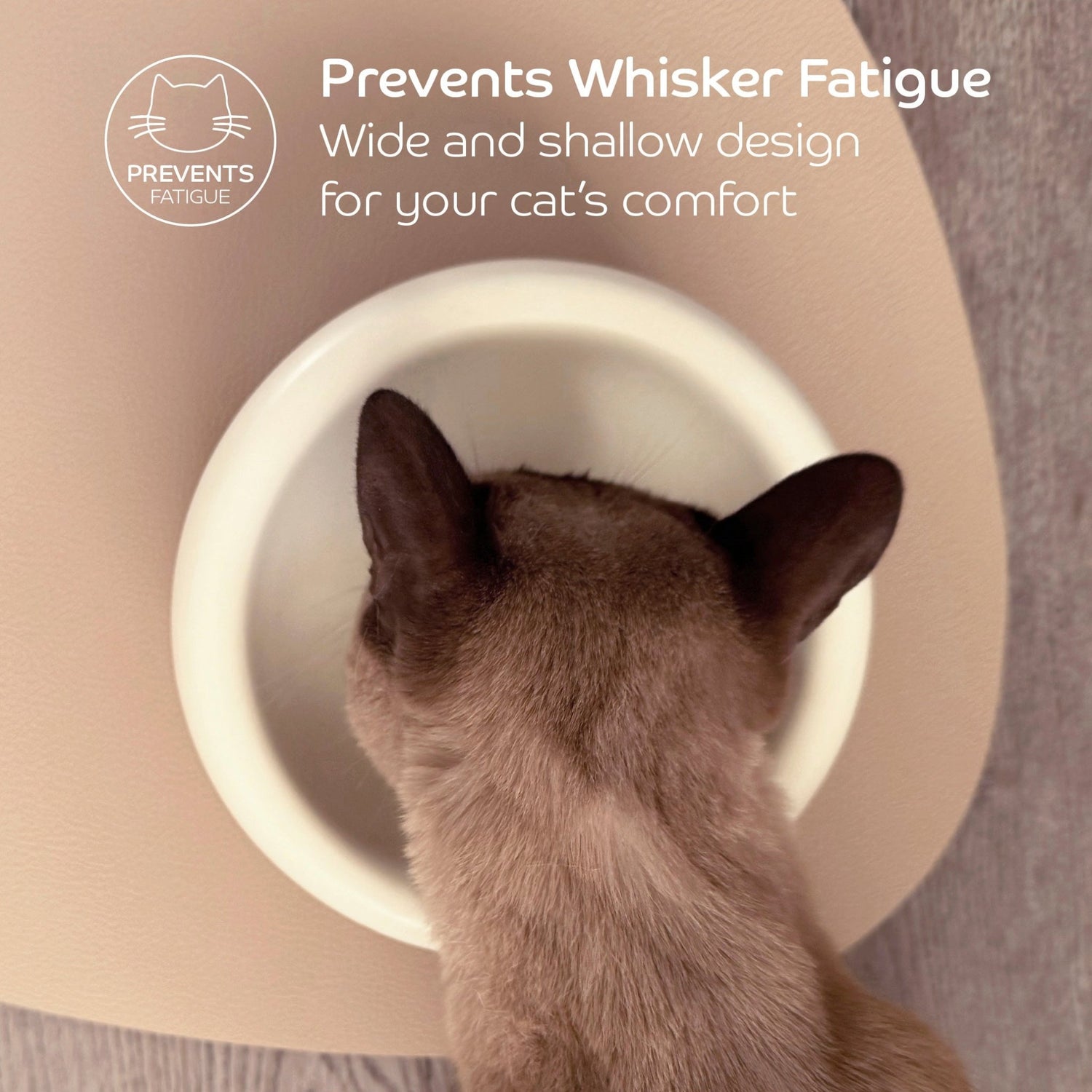 Ceramic Dining Bowl - Elevated - Pryde Pets