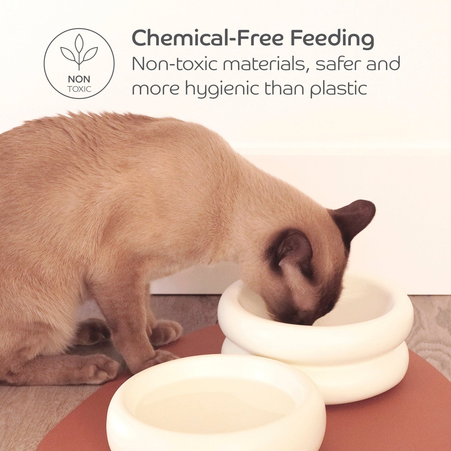 Ceramic Dining Bowl - Elevated - Pryde Pets