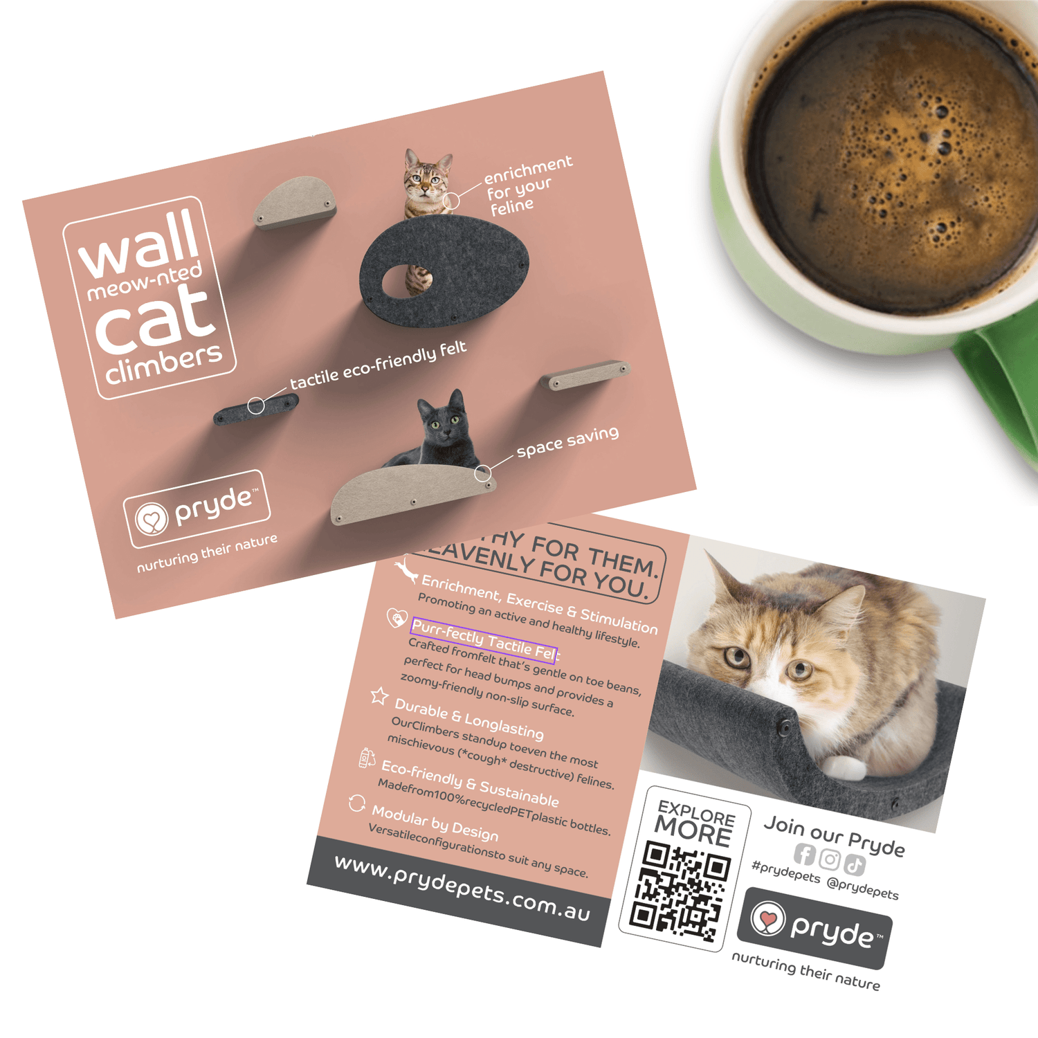 50 Product Education Postcards - Wall Meow-nted Cat Climbers - Pryde Pets