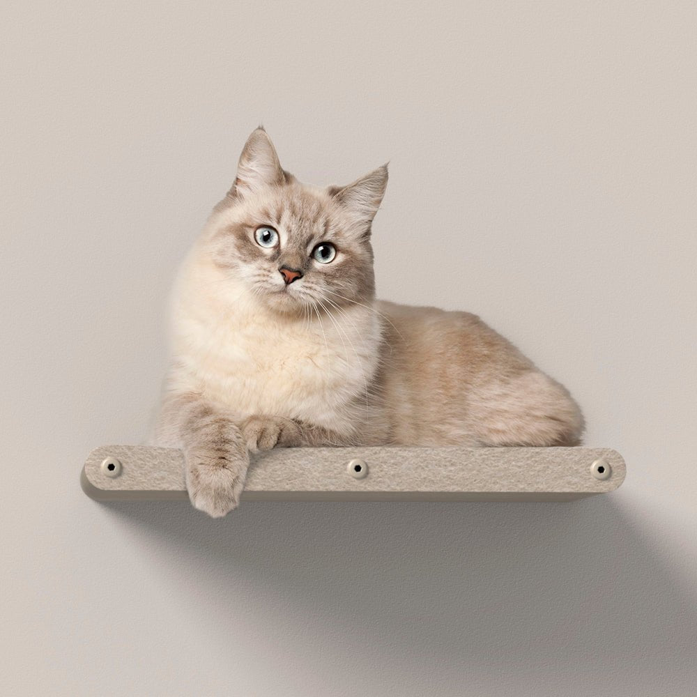 Long Oatmeal - Individual Cat Climber Shelf - Pryde Pets