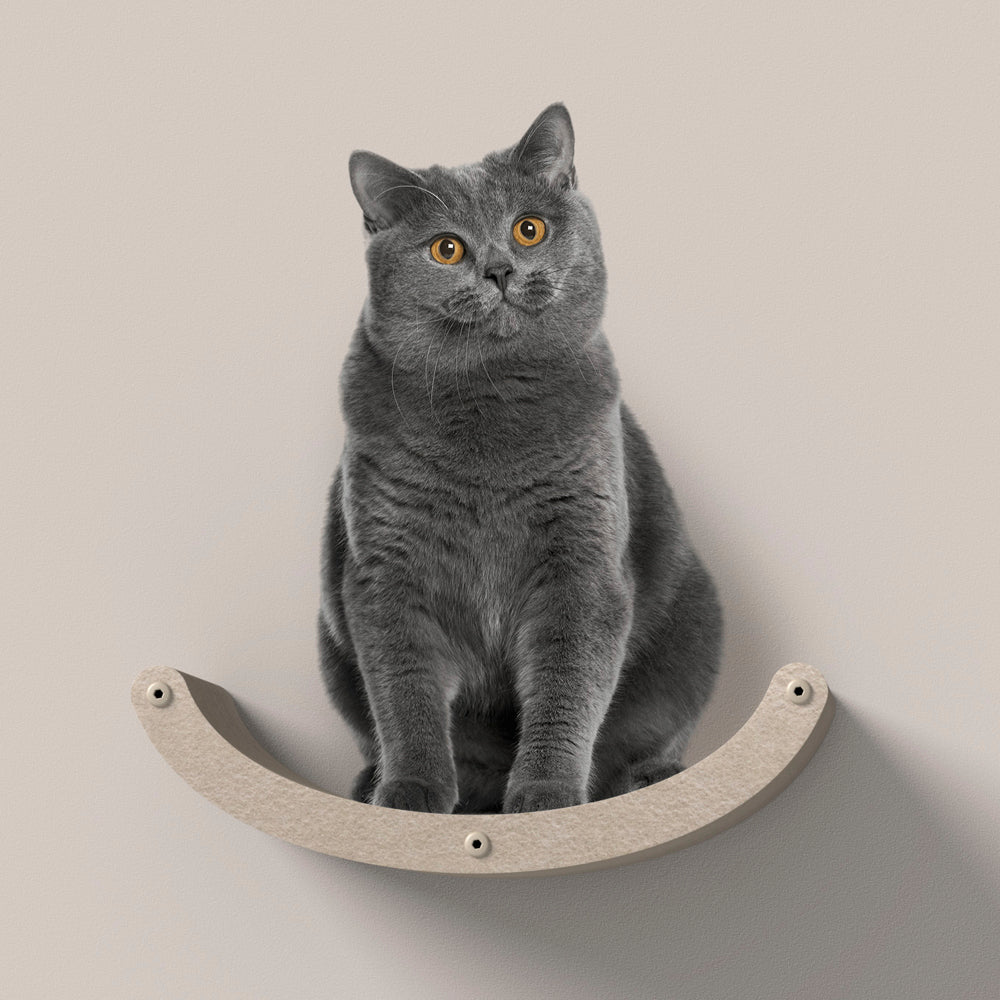 Curved Oatmeal - Individual Cat Climber Shelf - Pryde Pets