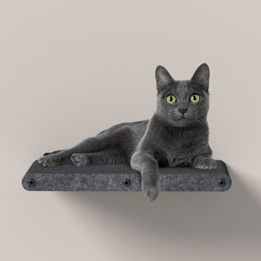 Long Charcoal - Individual Cat Climber Shelf - Pryde Pets