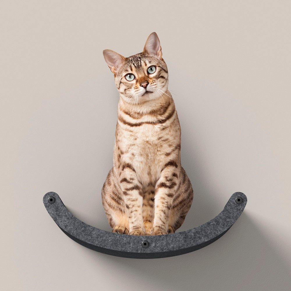 Curved Charcoal - Individual Cat Climber Shelf - Pryde Pets