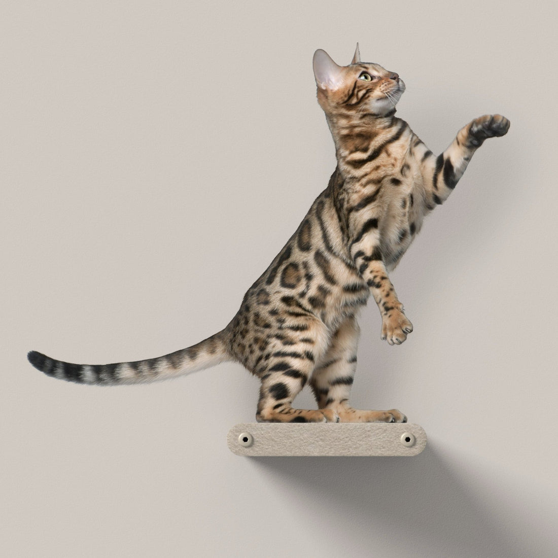 2 x Short Oatmeal - Individual Cat Climber Shelves - Pryde Pets
