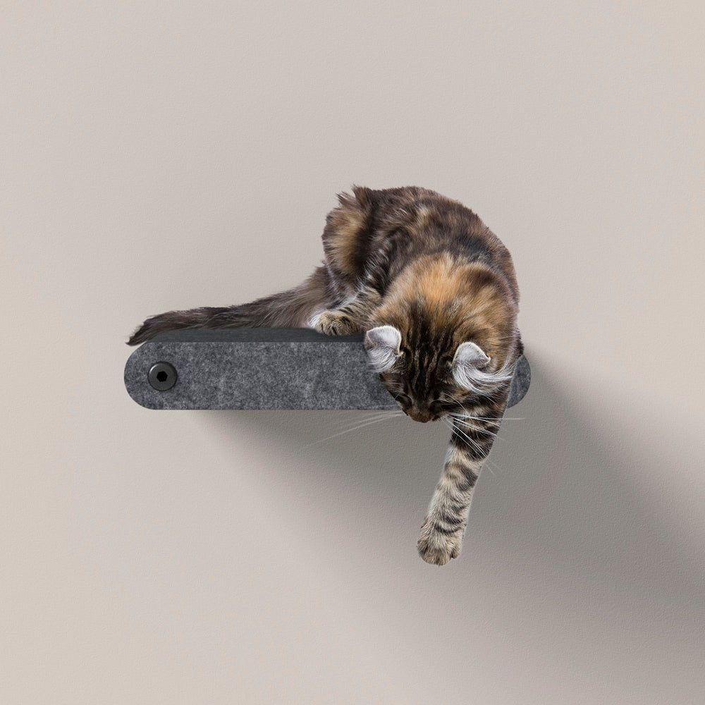 2 x Short Charcoal - Individual Cat Climber Shelves - Pryde Pets