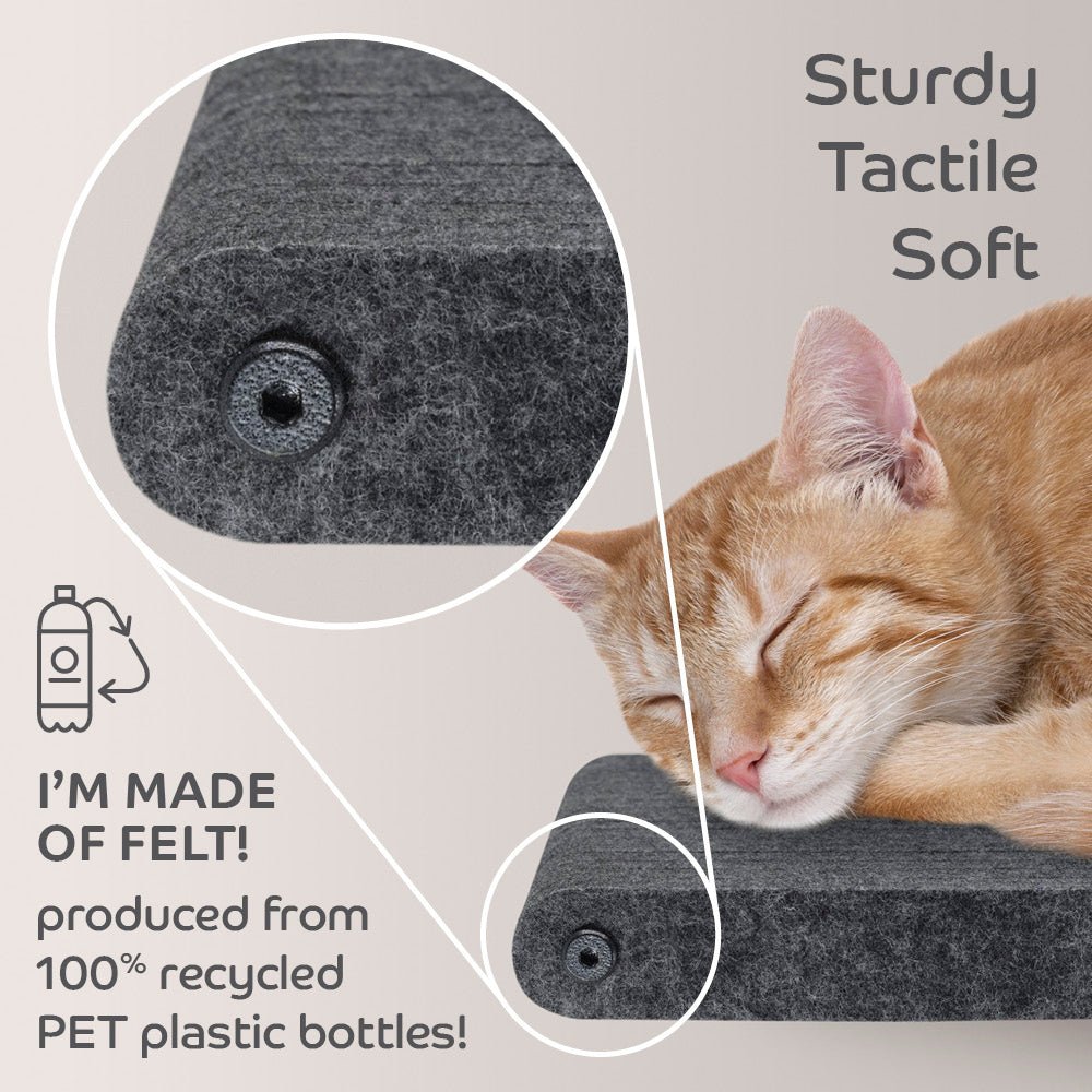 Wall Meow-nted Cat Climbers (Charcoal) - Set of 4 Shelves - Pryde Pets